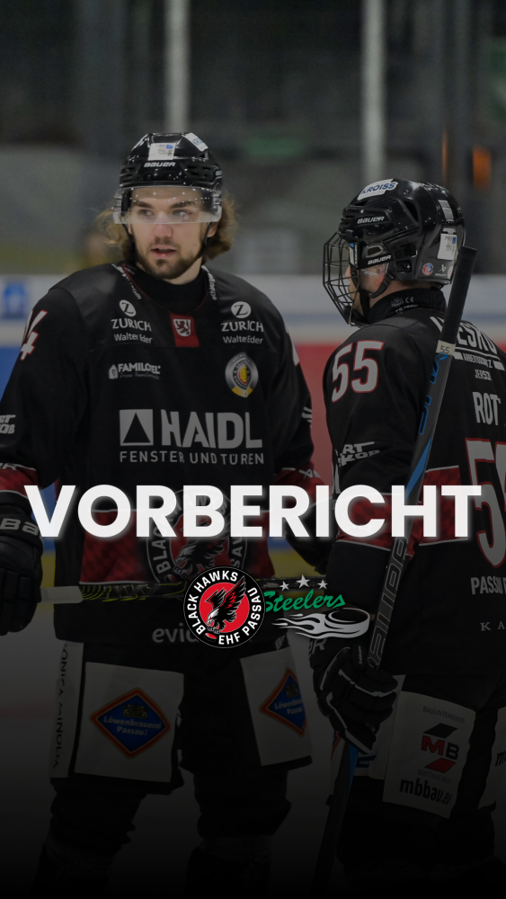 Ex-DEL & DEL2 Team zu Gast in der Eis-Arena: Black Hawks empfangen die Bietigheim Steelers